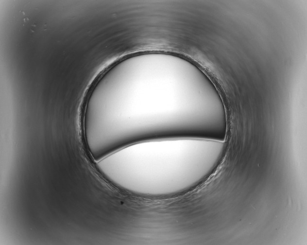 X0000093601230200710150952