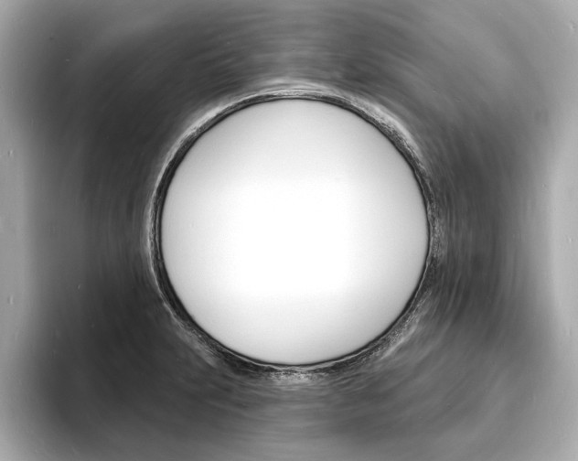 X0000093601231200710150952
