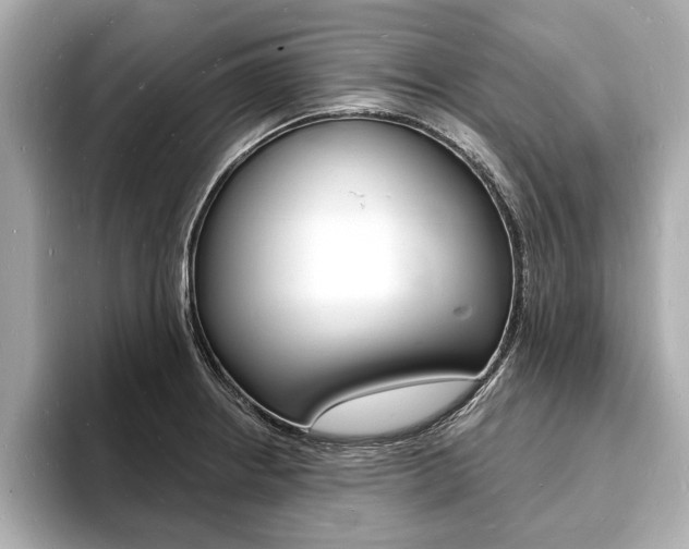 X0000093601234200710150952