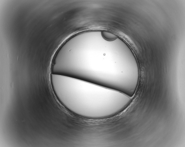 X0000093601236200710150952