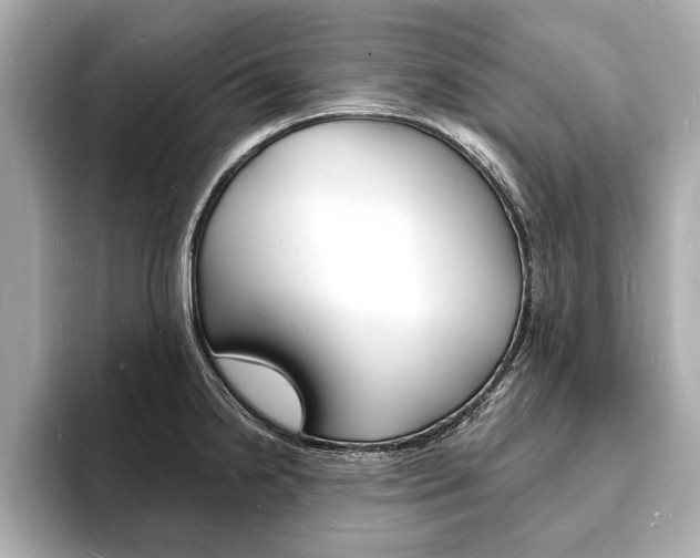 X0000093601238200710150952