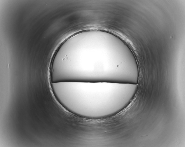 X0000093601239200710150952