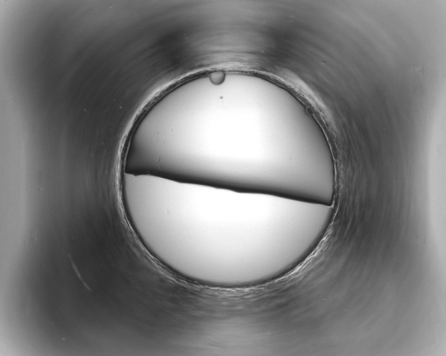 X0000093601240200710150952