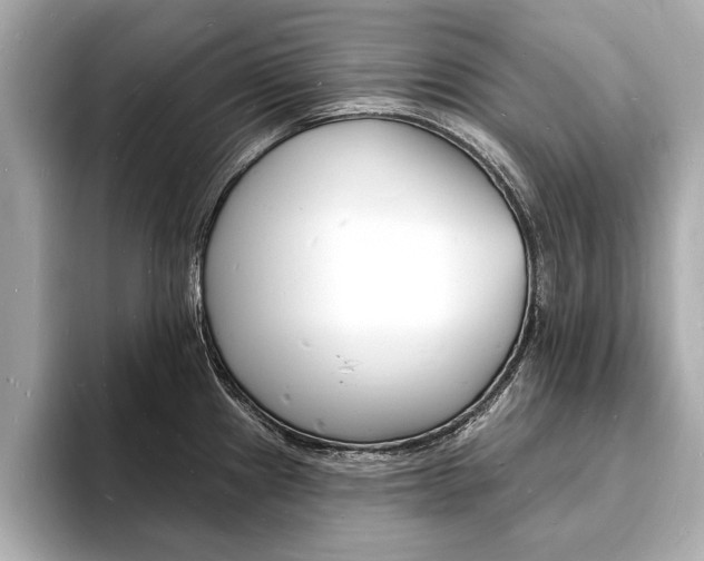 X0000093601241200710150952