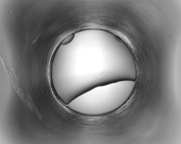 X0000093601247200710150952