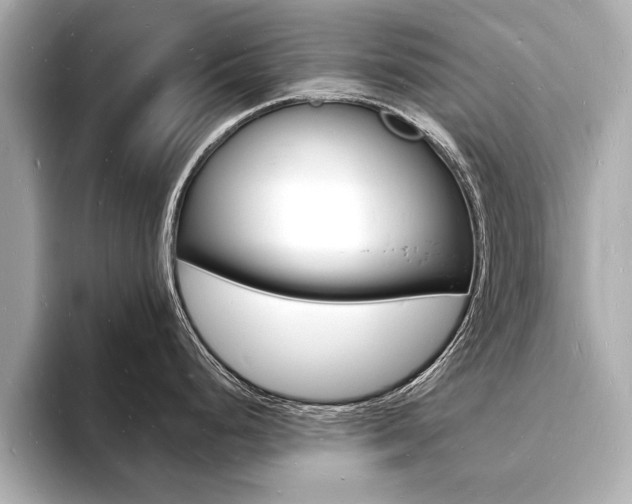 X0000093601248200710150952