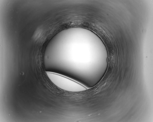 X0000093601250200710150951