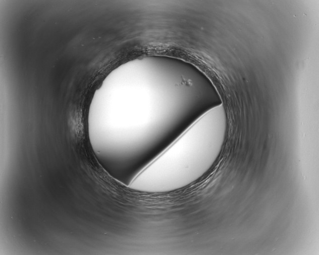 X0000093601252200710150951