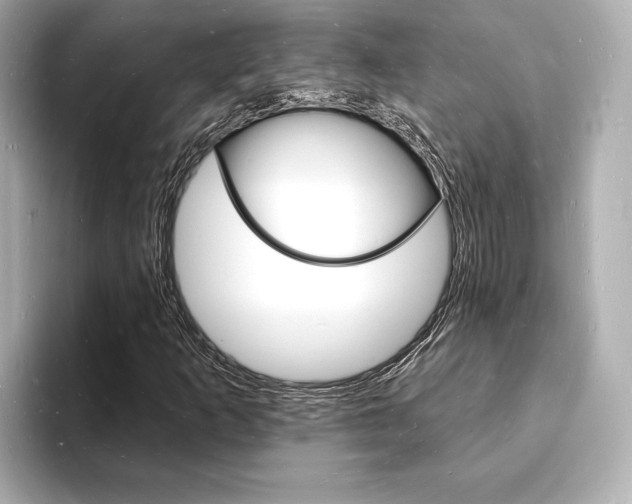 X0000093601253200710150951