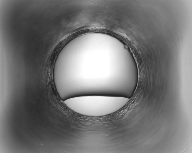 X0000093601255200710150951