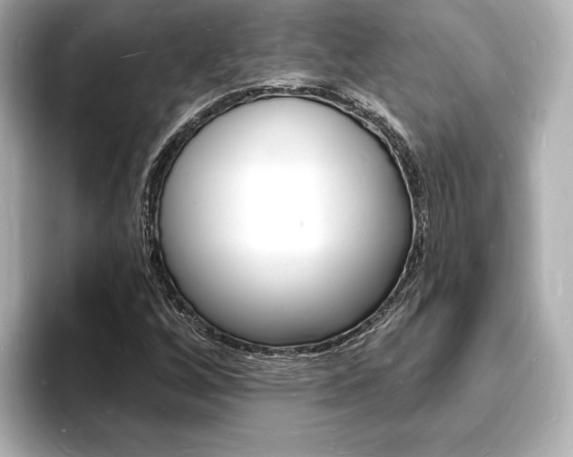 X0000093601256200710150951