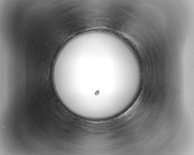 X0000093601257200710150951