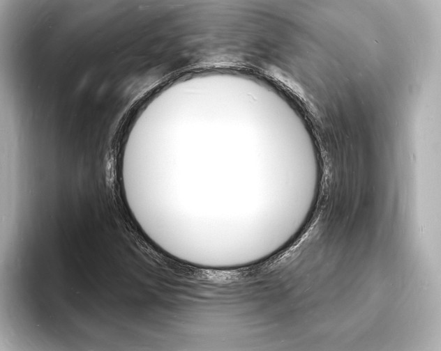 X0000093601258200710150951