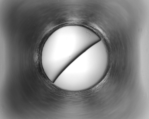X0000093601259200710150951