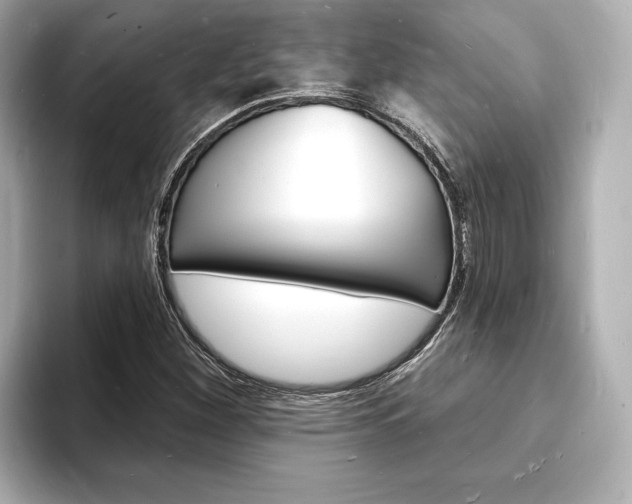 X0000093601260200710150951