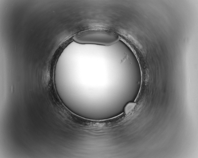 X0000093601261200710150951