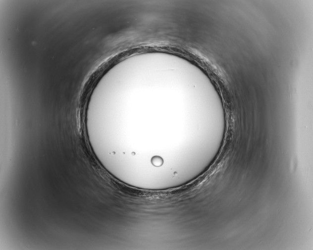 X0000093601262200710150951