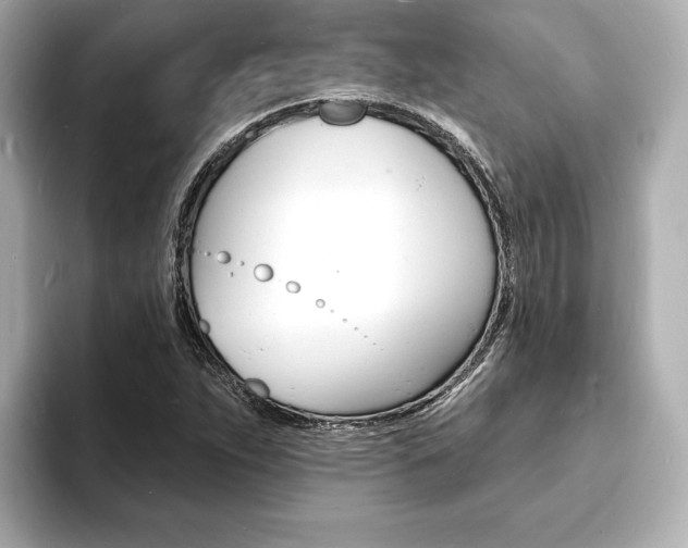 X0000093601263200710150951