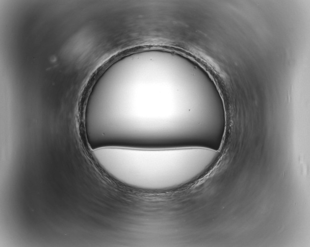 X0000093601264200710150951