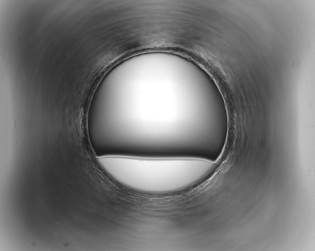 X0000093601265200710150951