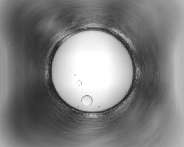 X0000093601266200710150951