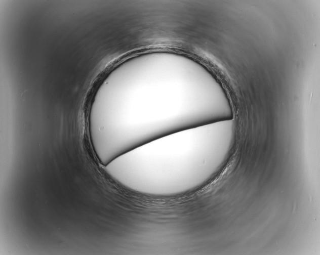 X0000093601267200710150951