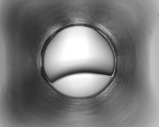 X0000093601269200710150951