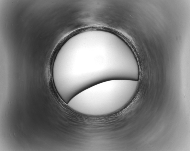 X0000093601271200710150951