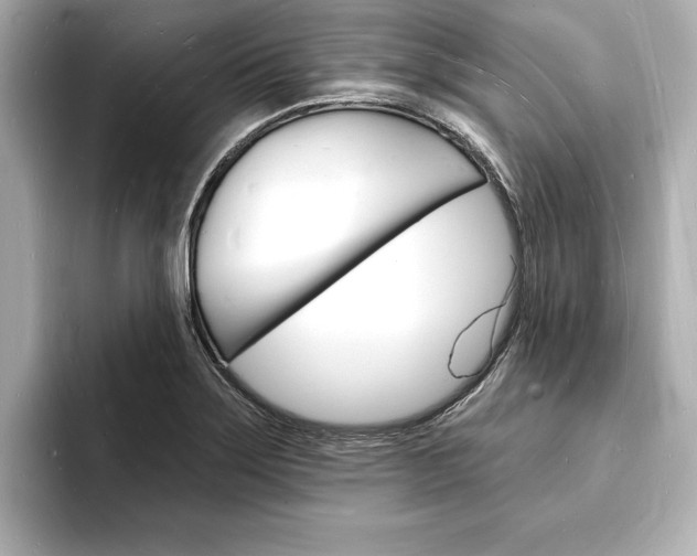 X0000093601275200710150951