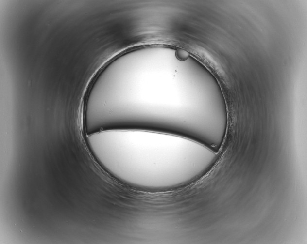 X0000093601276200710150951