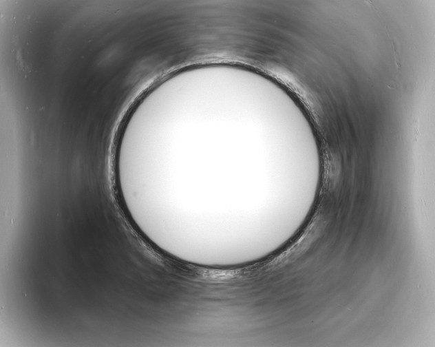 X0000093601278200710150951