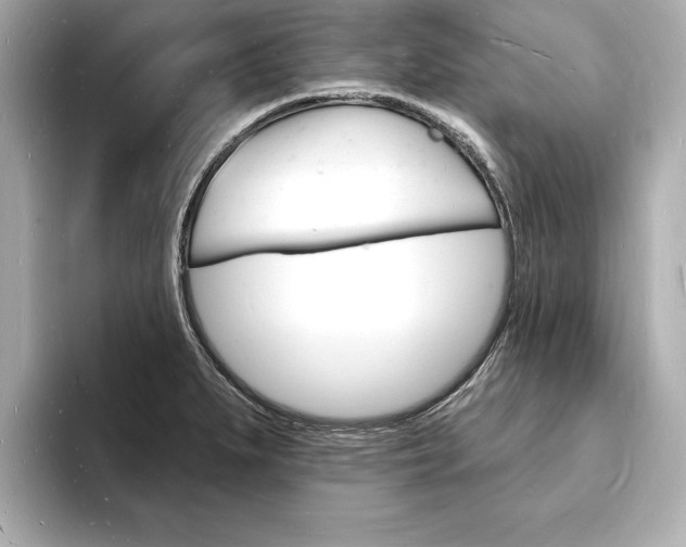 X0000093601279200710150951