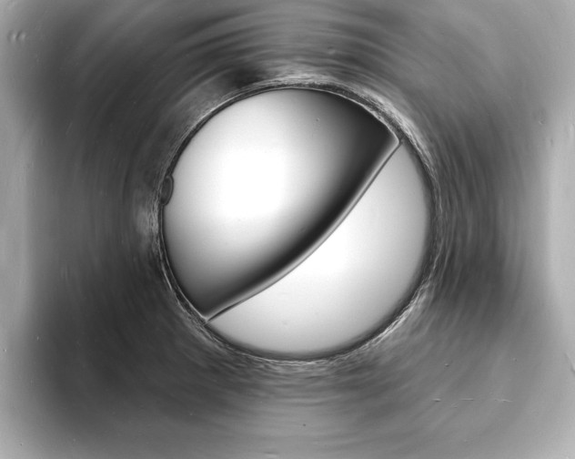 X0000093601281200710150951