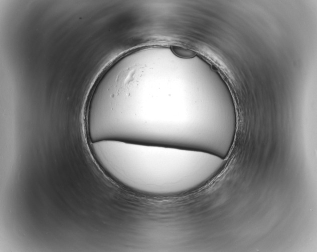 X0000093601283200710150951