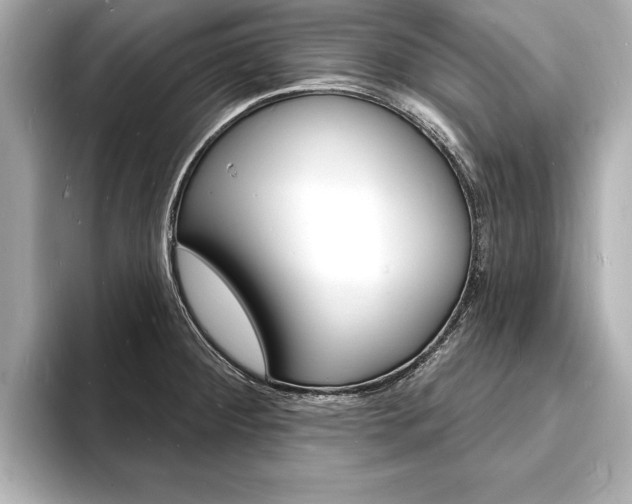 X0000093601284200710150951