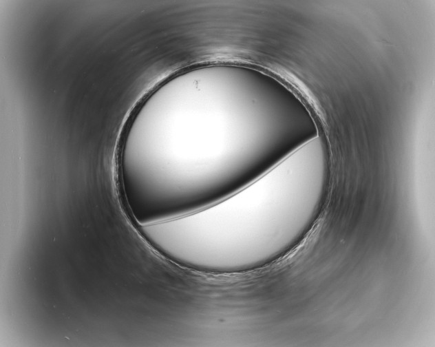 X0000093601285200710150951