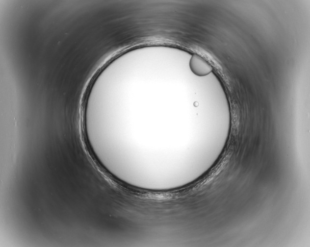 X0000093601286200710150951