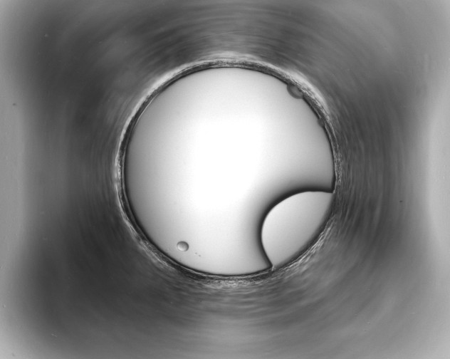 X0000093601287200710150951