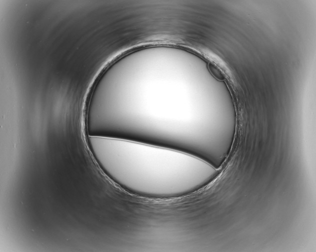 X0000093601288200710150951