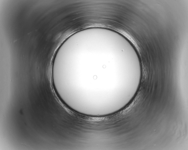 X0000093601290200710150951