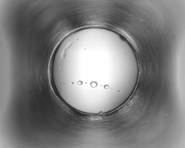 X0000093601291200710150951