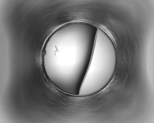 X0000093601292200710150951