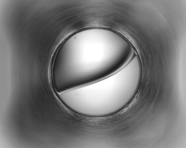 X0000093601293200710150951