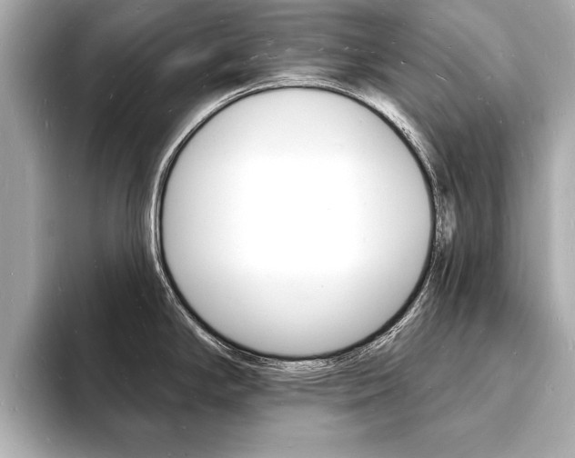 X0000093601294200710150951
