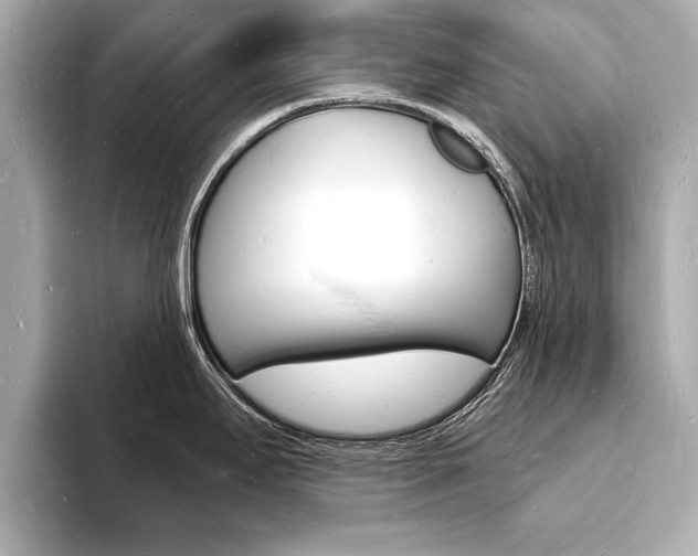 X0000093601295200710150951