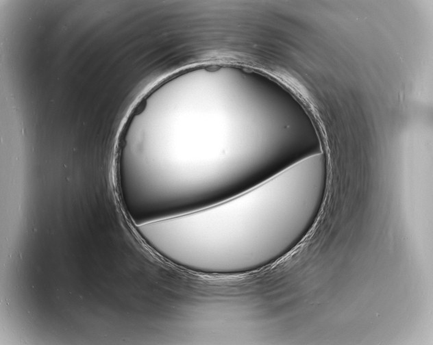 X0000093601296200710150951