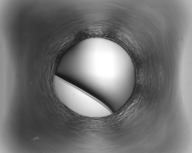 X0000093601297200710150950