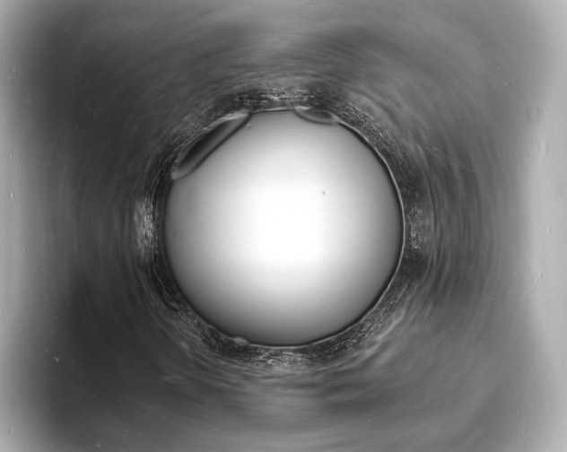 X0000093601298200710150950