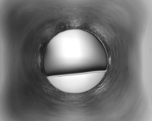 X0000093601299200710150950