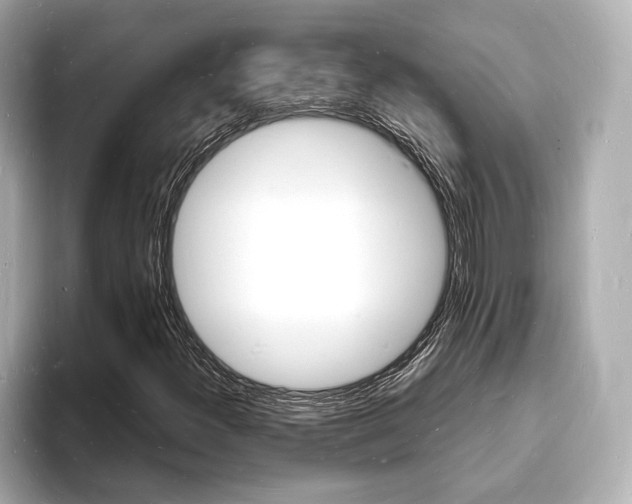 X0000093601300200710150950